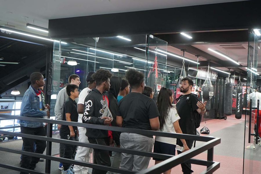 Vibe Youth Education